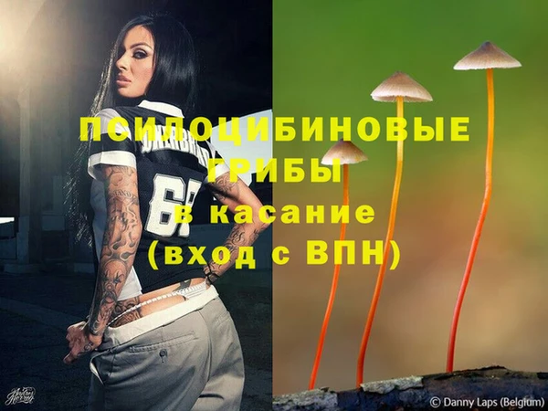 индика Покров