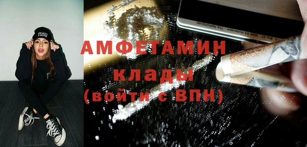 гидропоника Пересвет